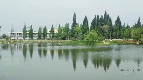 清明节出游踏青 昆明成云南最热目的地