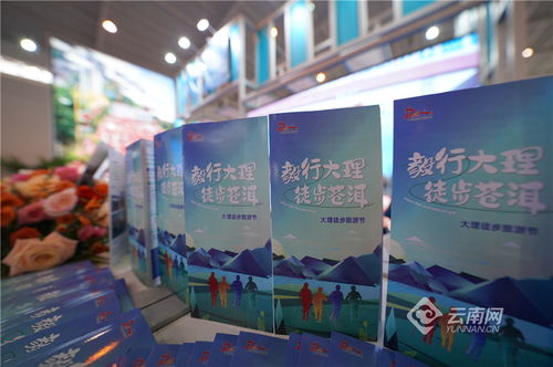 开幕首日热闹非凡 云南网记者带你 沉浸式 逛馆