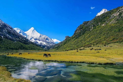 云南旅游什么季节去最好,这里就是天堂一般的存在