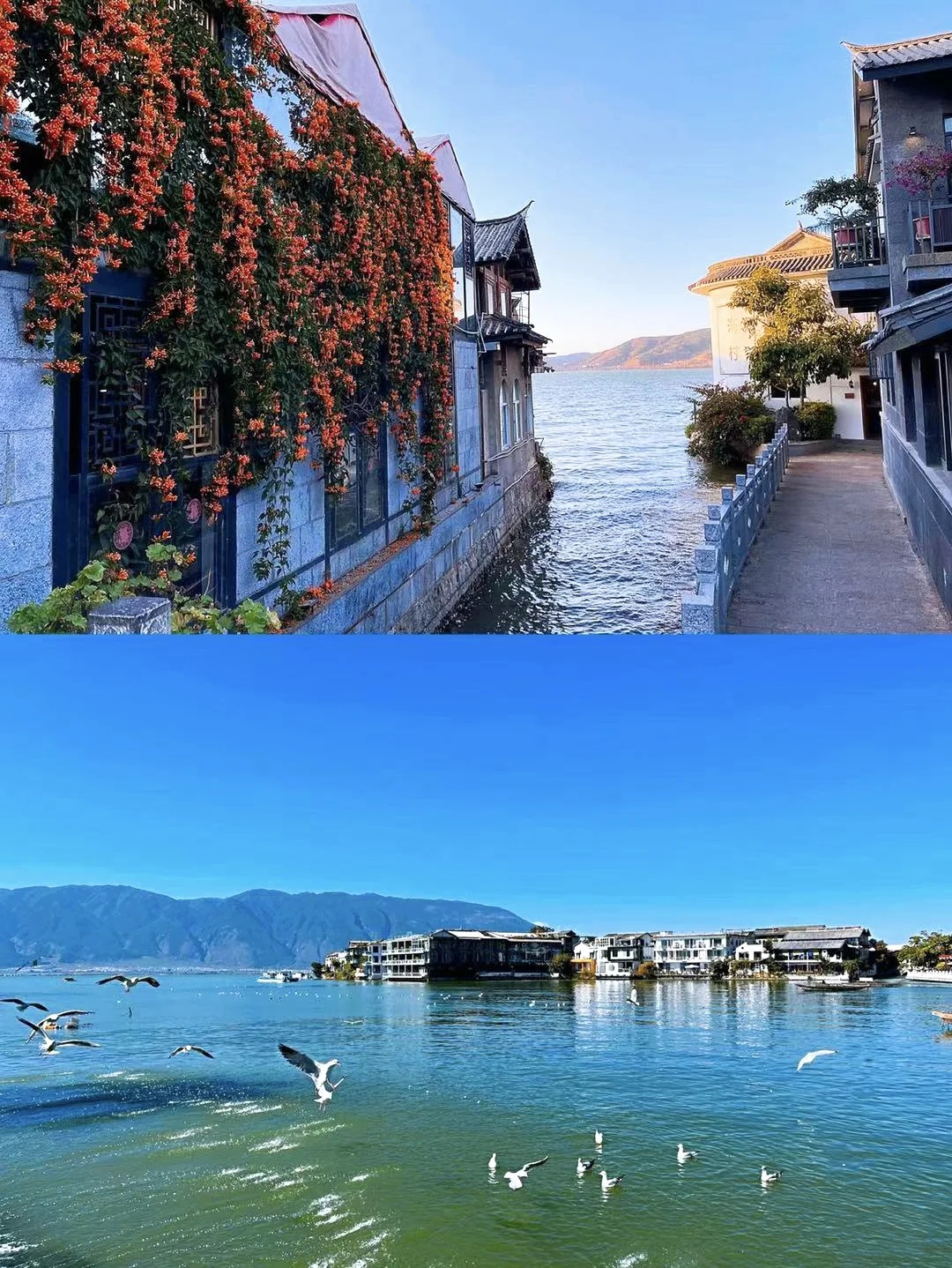 五一去云南玩怎么样?6天5晚云南旅游攻略,带父母出门旅行一定要看!云南必去精华景点,2000元内玩转云南。