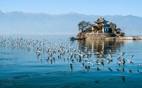 云南发布旅游消费参考成本 超过这个价就不用考虑 百思特购物网